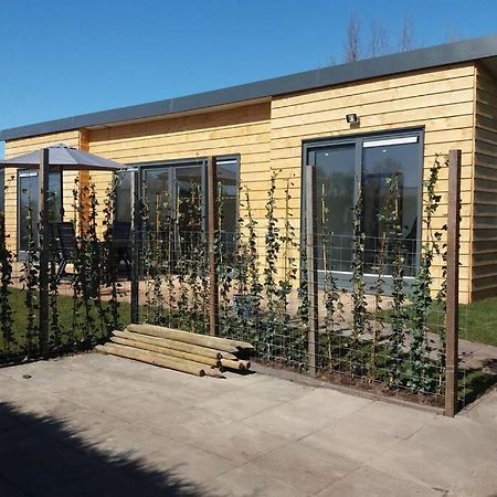 Luxe Vakantie Bungalow Met 3 Slaapkamers Dronrijp 외부 사진